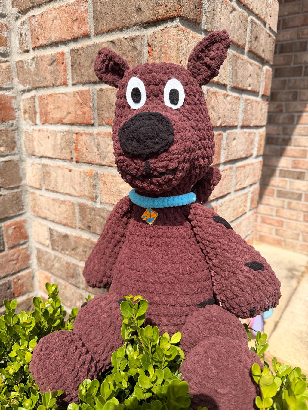 Mystery Solving Pup