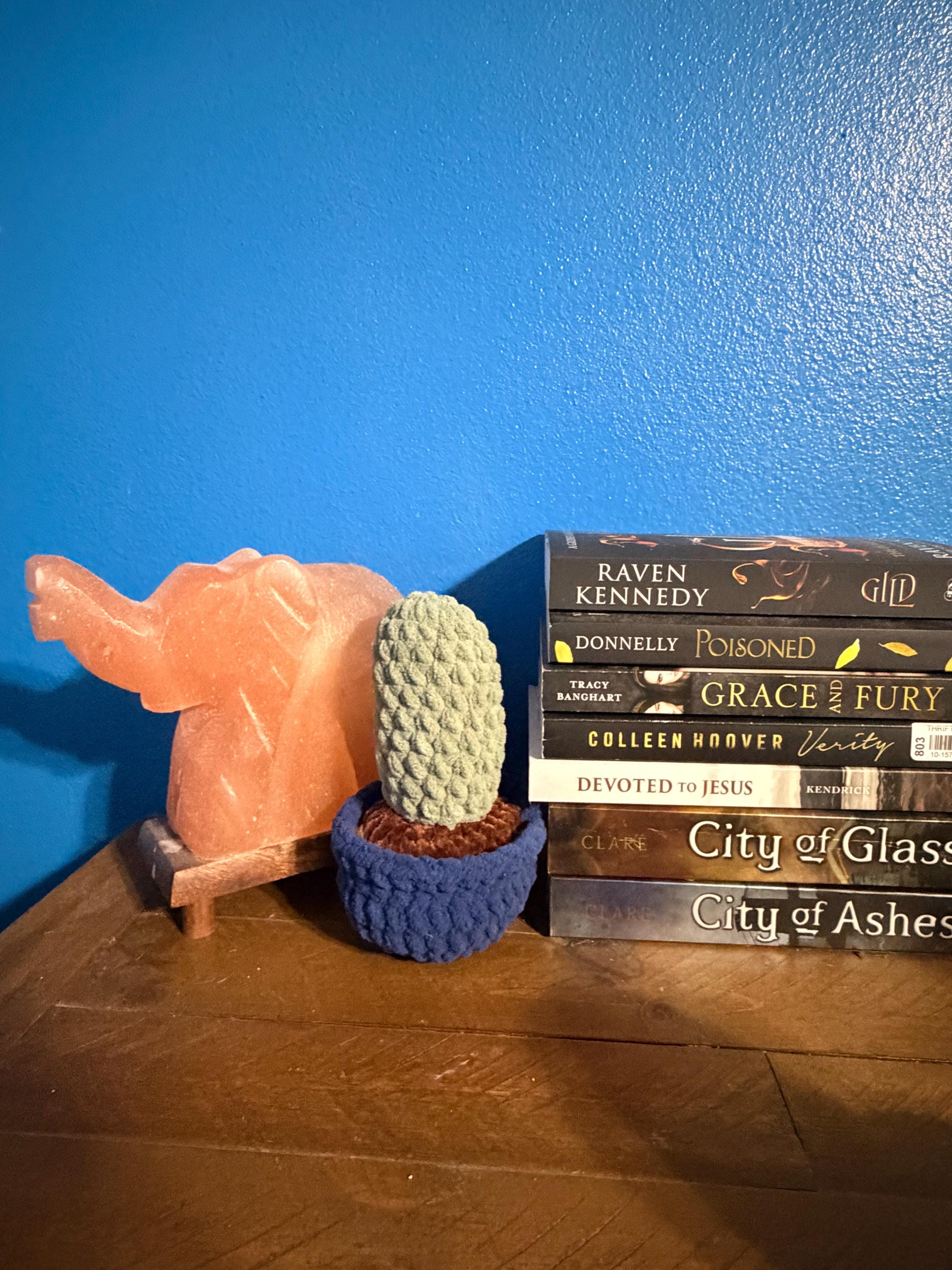 Desk Buddy - Cacti Edition